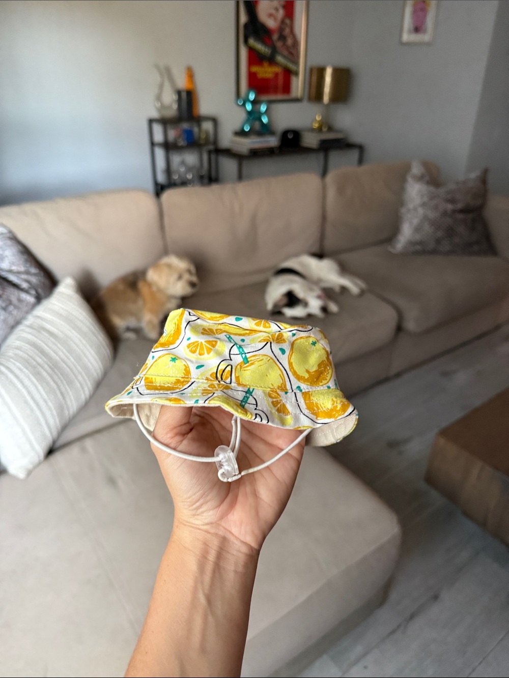 Yellow Citrus Print SMALL DOG Bucket Hat - Unbranded